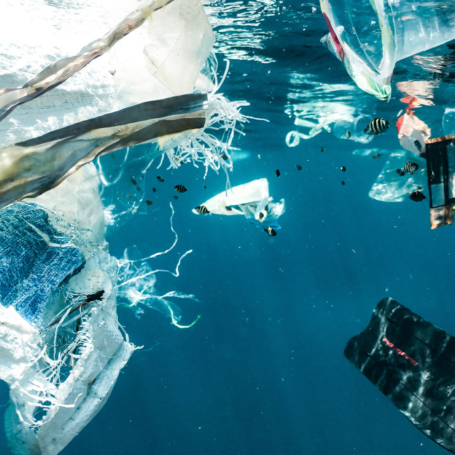 rifiuti di plastica nel mare
