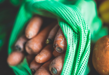 immagine articolo uso plastica