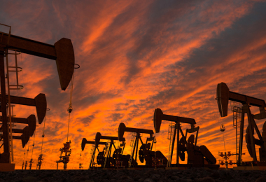 un segnale con scritto Fridays for Future