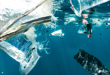 immagine articolo plastica monouso