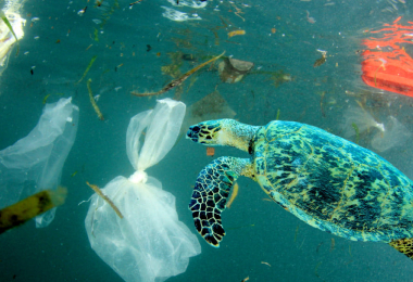 rifiuti di plastica nel mare con una tartaruga