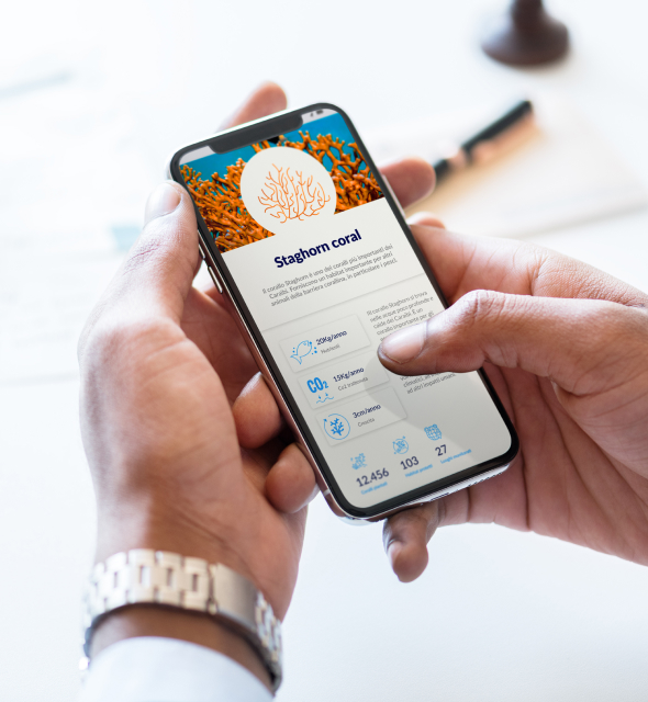 Sealife applicazione